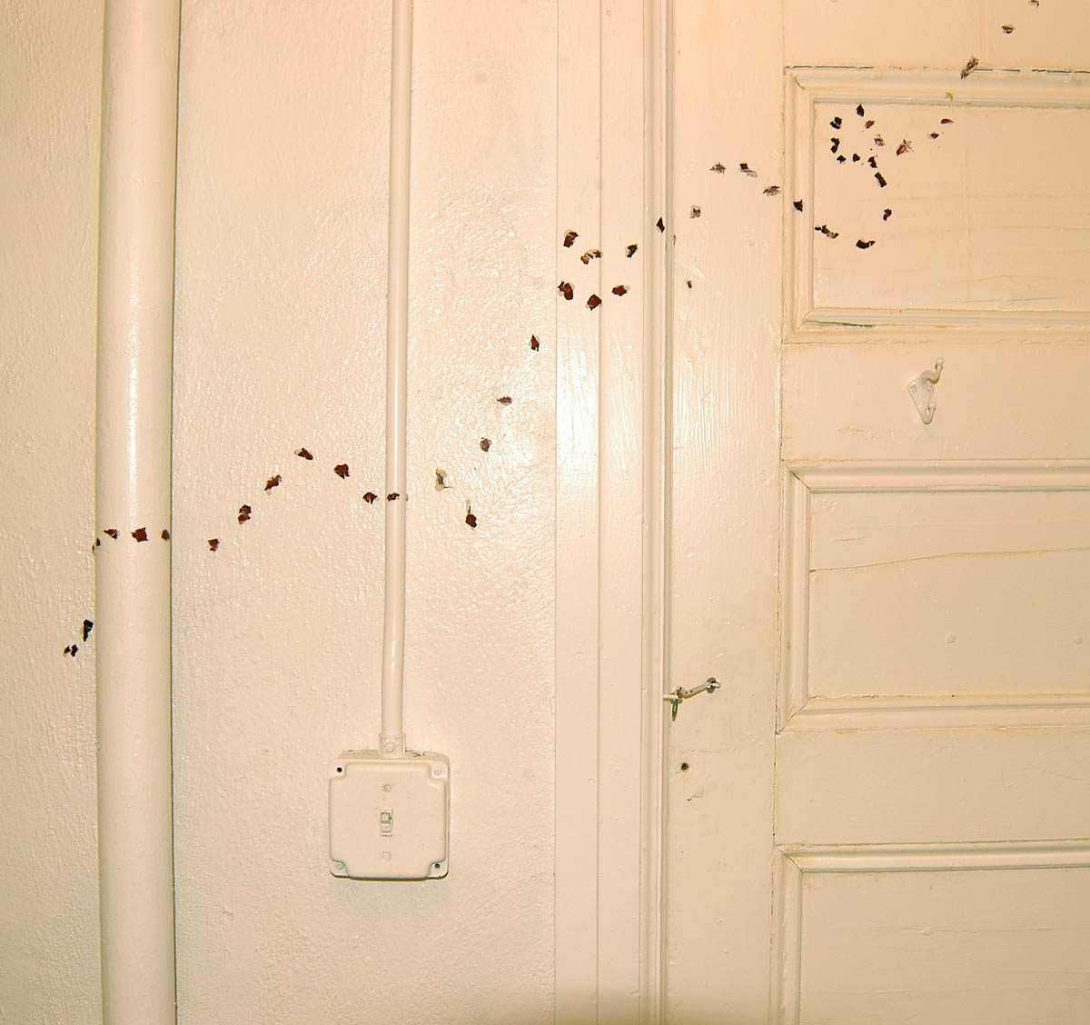 Square Cloud Factory